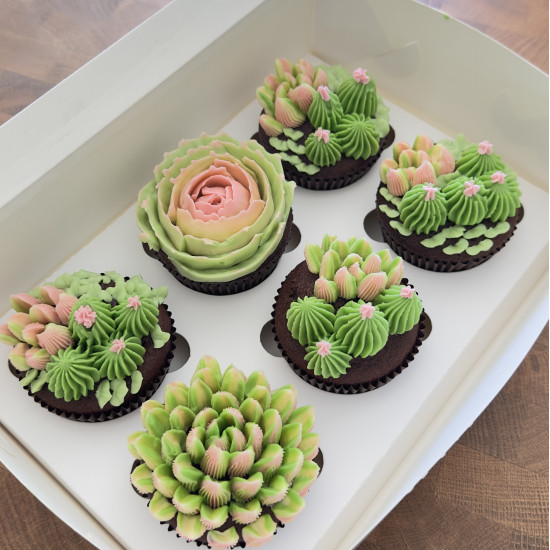 Buttercream Flower & Cactus  Cupcakes 