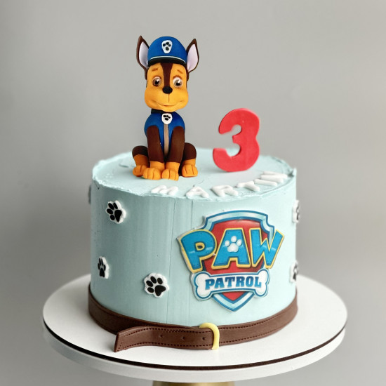 Paw Patrol Cake – with one characters